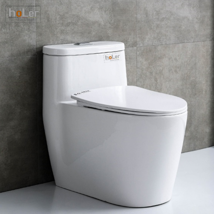 Bồn Cầu 1 Khối Holer HLBC213